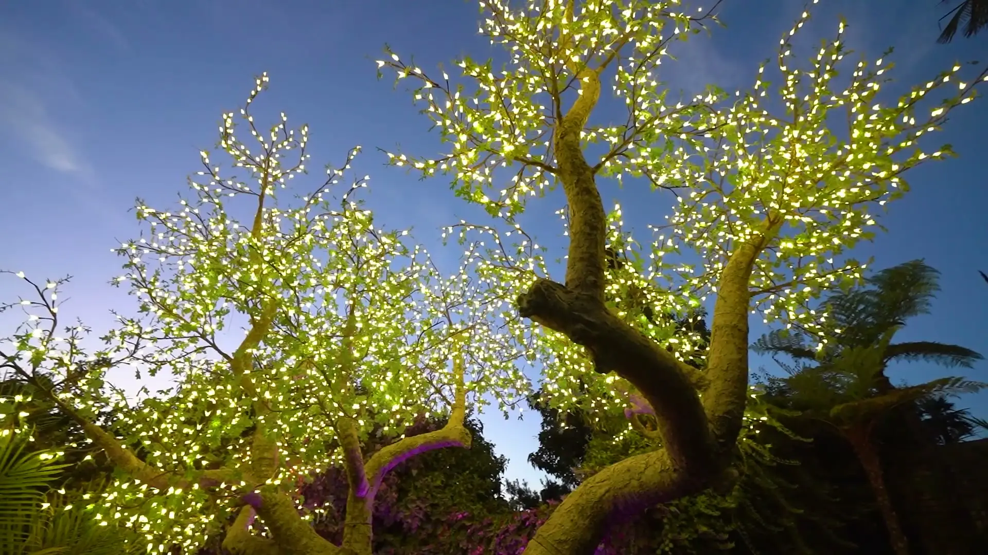 The fairy-lit grounds of The Enchanted Manor at night